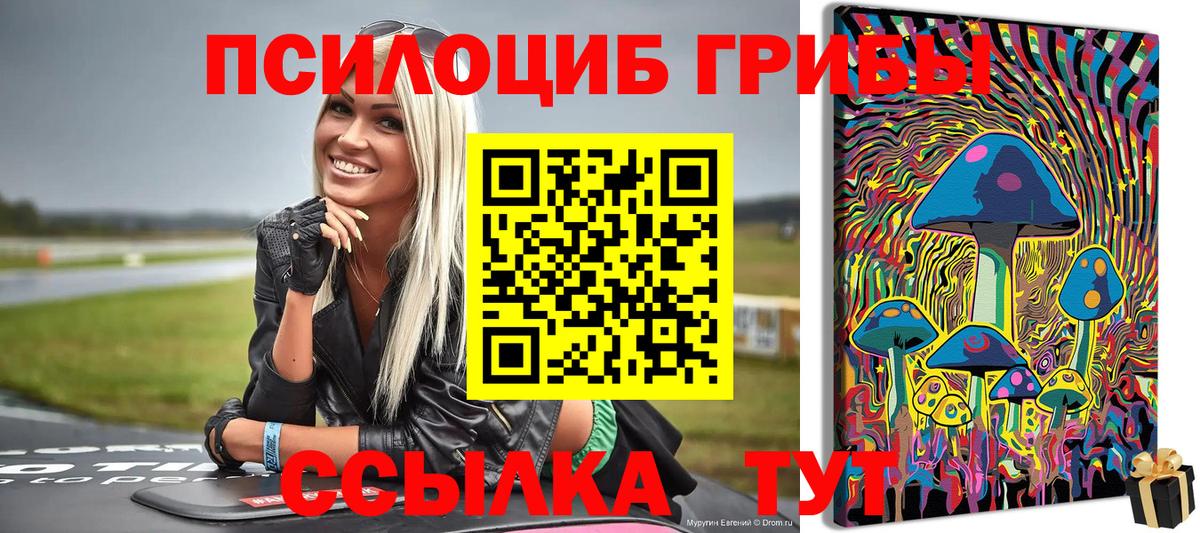 Минеральные Воды  дарнет шоп  Псилоцибиновые грибы Psilocybine cubensis  Вход с VPN  Псилоцибиновые грибы GOLDEN TEACHER 
