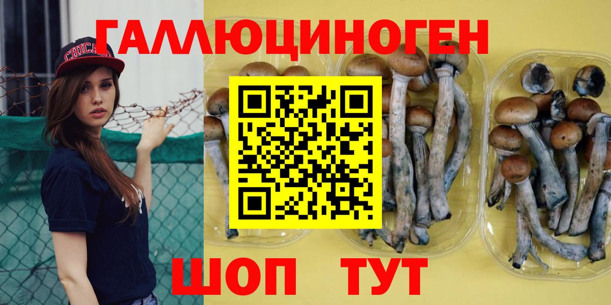 Галлюциногенные грибы GOLDEN TEACHER Минеральные Воды
